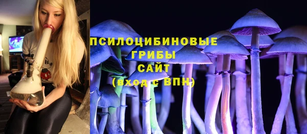 спайс Алзамай